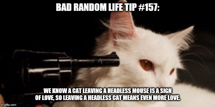 Dead Cat | BAD RANDOM LIFE TIP #157:; WE KNOW A CAT LEAVING A HEADLESS MOUSE IS A SIGN OF LOVE, SO LEAVING A HEADLESS CAT MEANS EVEN MORE LOVE. | image tagged in dead cat | made w/ Imgflip meme maker