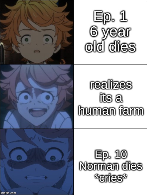 I cri now | Ep. 1
6 year old dies; realizes its a human farm; Ep. 10
Norman dies
*cries* | image tagged in the promised neverland,normanded,ooooof,emma | made w/ Imgflip meme maker