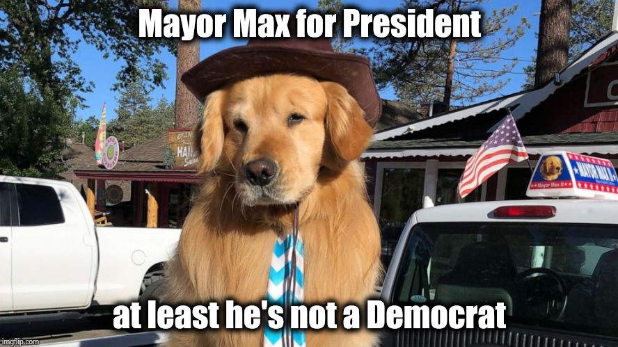 Mayor Max for President at least he's not a Democrat | made w/ Imgflip meme maker