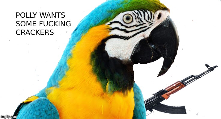 Polly wants crackers | image tagged in polly wants crackers | made w/ Imgflip meme maker