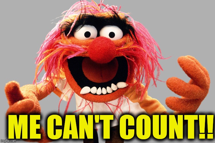 animal muppets | ME CAN'T COUNT!! | image tagged in animal muppets | made w/ Imgflip meme maker