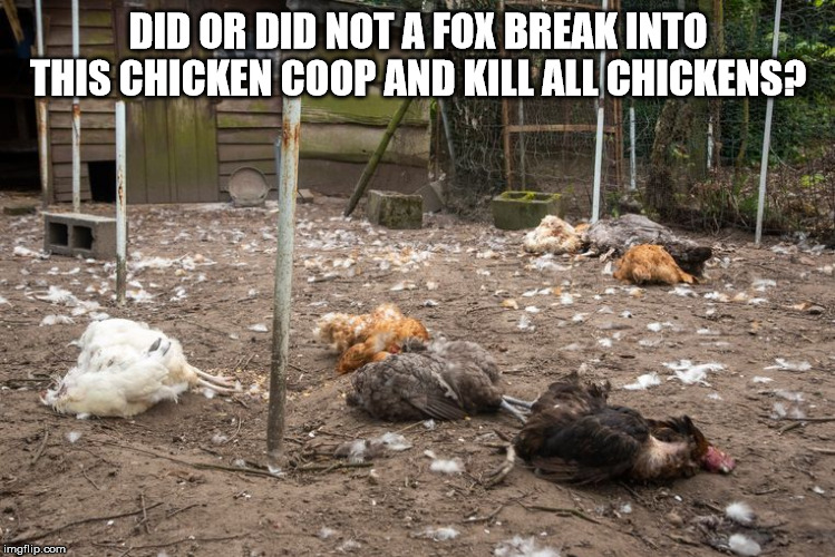DID OR DID NOT A FOX BREAK INTO THIS CHICKEN COOP AND KILL ALL CHICKENS? | made w/ Imgflip meme maker