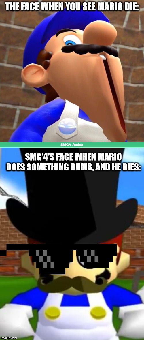THE FACE WHEN YOU SEE MARIO DIE:; SMG'4'S FACE WHEN MARIO DOES SOMETHING DUMB, AND HE DIES: | image tagged in wallet inspecta smg4,smg4's face | made w/ Imgflip meme maker