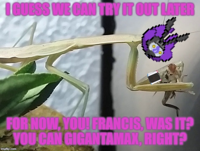 I GUESS WE CAN TRY IT OUT LATER FOR NOW, YOU! FRANCIS, WAS IT?
YOU CAN GIGANTAMAX, RIGHT? | made w/ Imgflip meme maker