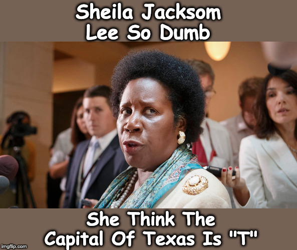 Sheila Jackson Lee So Dumb | Sheila Jacksom Lee So Dumb; She Think The Capital Of Texas Is "T" | image tagged in stupid liberals | made w/ Imgflip meme maker