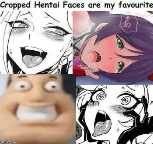 Cropped Hentai Faces are my favourite | image tagged in cropped hentai faces are my favourite | made w/ Imgflip meme maker
