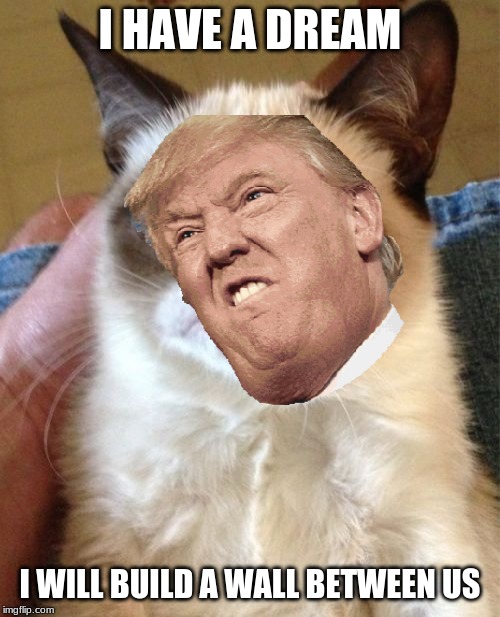 Grumpy Cat Meme | I HAVE A DREAM; I WILL BUILD A WALL BETWEEN US | image tagged in memes,grumpy cat | made w/ Imgflip meme maker