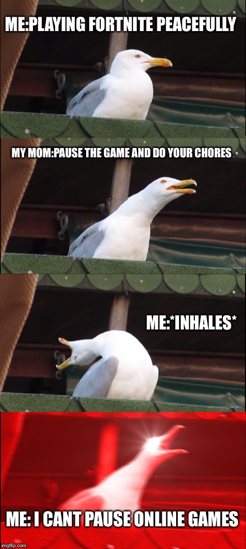 Inhaling Seagull | ME:PLAYING FORTNITE PEACEFULLY; MY MOM:PAUSE THE GAME AND DO YOUR CHORES; ME:*INHALES*; ME: I CANT PAUSE ONLINE GAMES | image tagged in memes,inhaling seagull | made w/ Imgflip meme maker