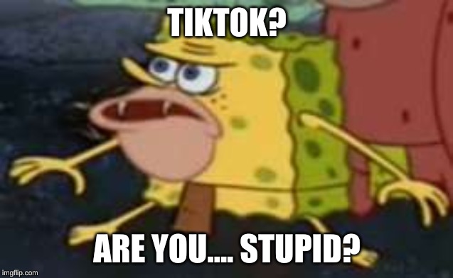 Spongegar | TIKTOK? ARE YOU.... STUPID? | image tagged in memes,spongegar | made w/ Imgflip meme maker