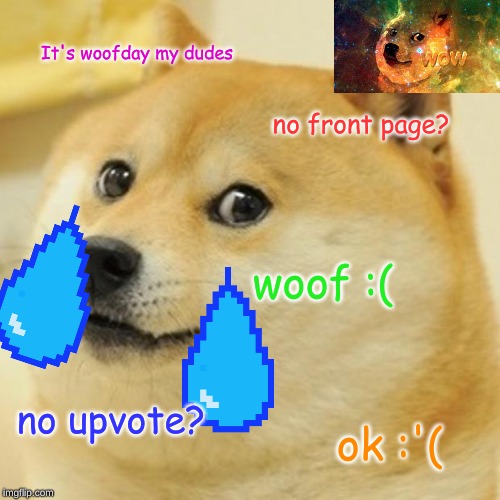 Doge | It's woofday my dudes; no front page? woof :(; no upvote? ok :'( | image tagged in memes,doge | made w/ Imgflip meme maker