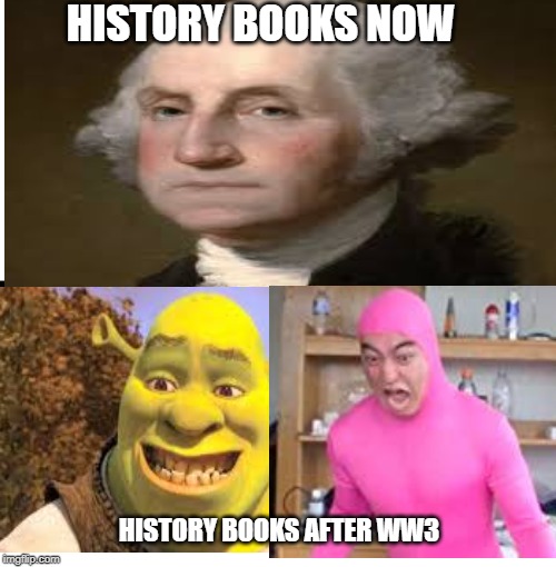 HISTORY BOOKS NOW; HISTORY BOOKS AFTER WW3 | image tagged in ww3,shrek | made w/ Imgflip meme maker