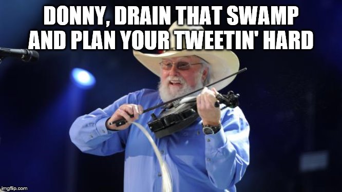 Charlie Daniels  | DONNY, DRAIN THAT SWAMP AND PLAN YOUR TWEETIN' HARD | image tagged in charlie daniels | made w/ Imgflip meme maker