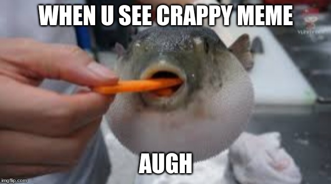 puffer fish eating carrot meme | WHEN U SEE CRAPPY MEME; AUGH | image tagged in phish | made w/ Imgflip meme maker