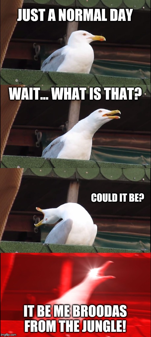 Inhaling Seagull | JUST A NORMAL DAY; WAIT... WHAT IS THAT? COULD IT BE? IT BE ME BROODAS FROM THE JUNGLE! | image tagged in memes,inhaling seagull | made w/ Imgflip meme maker