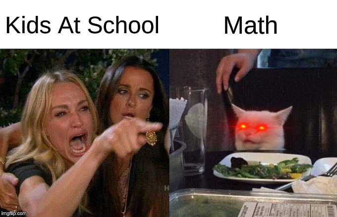 Woman Yelling At Cat Meme | Kids At School; Math | image tagged in memes,woman yelling at cat | made w/ Imgflip meme maker