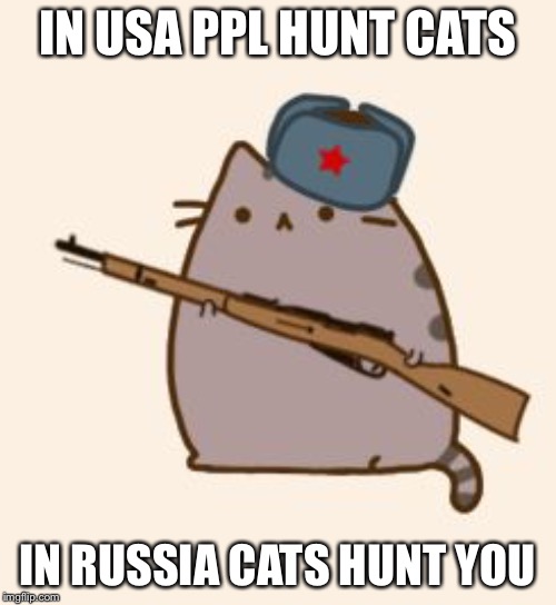 Mosin Nagant Pusheen | IN USA PPL HUNT CATS; IN RUSSIA CATS HUNT YOU | image tagged in mosin nagant pusheen | made w/ Imgflip meme maker