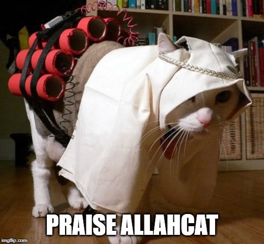 Kitty Bomber | PRAISE ALLAHCAT | image tagged in terrorist cat | made w/ Imgflip meme maker