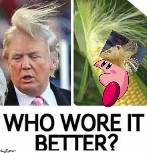 image tagged in donald trump hair,corn,kirby,funny memes | made w/ Imgflip meme maker