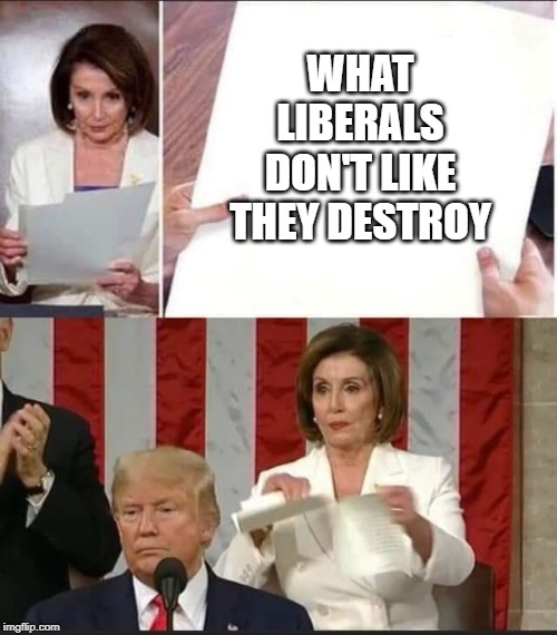 Nancy Pelosi tears speech | WHAT LIBERALS DON'T LIKE THEY DESTROY | image tagged in nancy pelosi tears speech | made w/ Imgflip meme maker