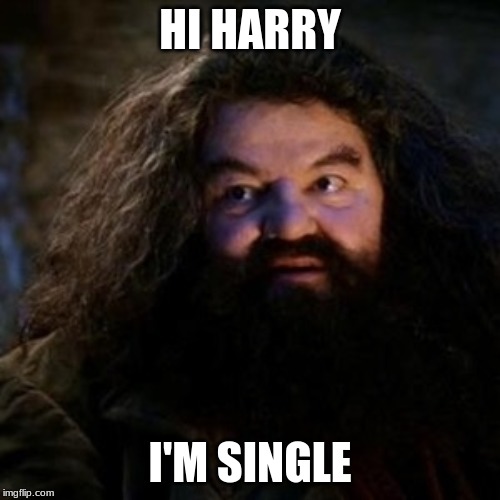 You're a wizard harry | HI HARRY; I'M SINGLE | image tagged in you're a wizard harry | made w/ Imgflip meme maker