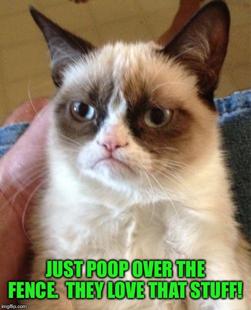 Grumpy Cat Meme | JUST POOP OVER THE FENCE.  THEY LOVE THAT STUFF! | image tagged in memes,grumpy cat | made w/ Imgflip meme maker