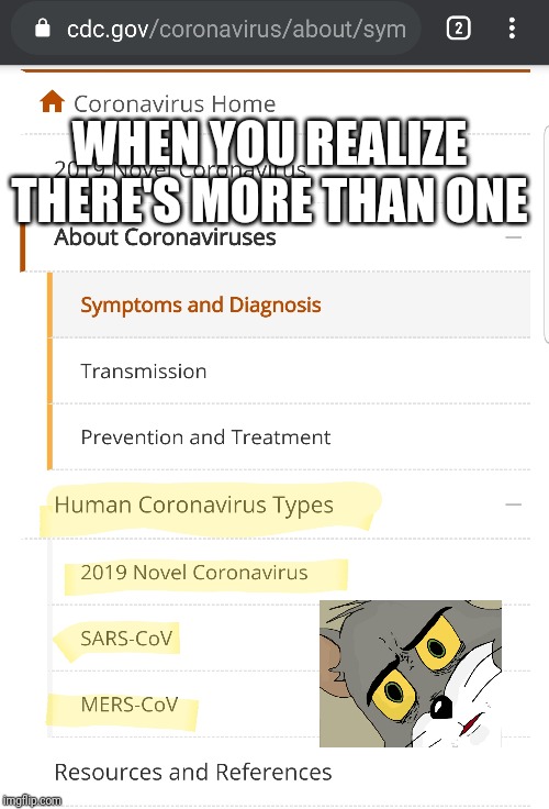 There's more than one coronavirus | WHEN YOU REALIZE THERE'S MORE THAN ONE | image tagged in coronavirus,unsettled tom | made w/ Imgflip meme maker