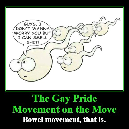 The Gay Pride Movement on the Move | image tagged in gay pride,bowel movement,shithole,oh shit,ew i stepped in shit,shitpost | made w/ Imgflip meme maker