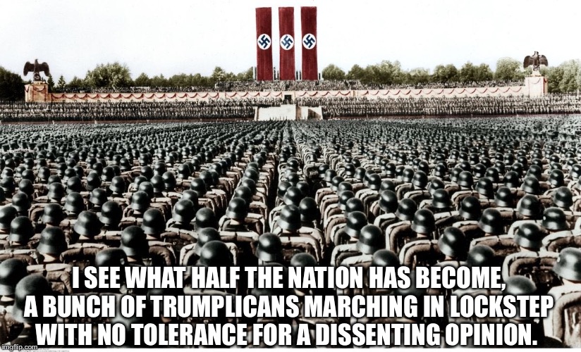 I SEE WHAT HALF THE NATION HAS BECOME, A BUNCH OF TRUMPLICANS MARCHING IN LOCKSTEP WITH NO TOLERANCE FOR A DISSENTING OPINION. | made w/ Imgflip meme maker
