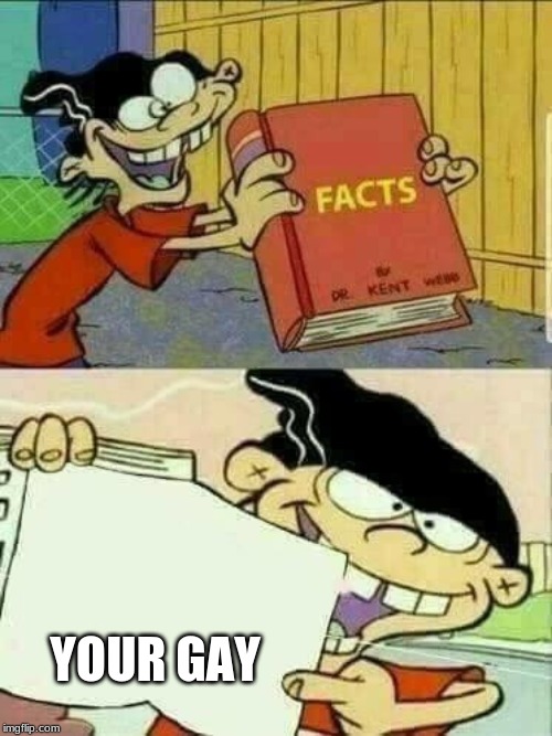 Double d facts book  | YOUR GAY | image tagged in double d facts book | made w/ Imgflip meme maker