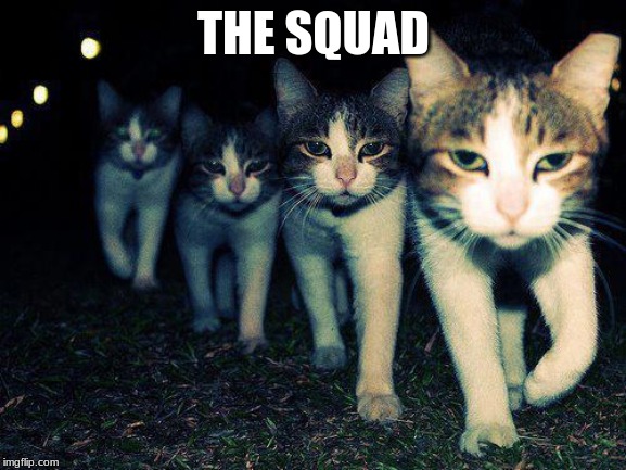 Wrong Neighboorhood Cats | THE SQUAD | image tagged in memes,wrong neighboorhood cats | made w/ Imgflip meme maker