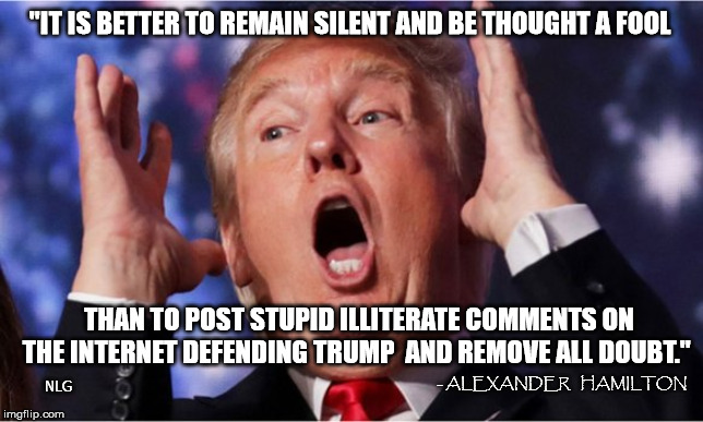 trump fool internet comments. | "IT IS BETTER TO REMAIN SILENT AND BE THOUGHT A FOOL; THAN TO POST STUPID ILLITERATE COMMENTS ON THE INTERNET DEFENDING TRUMP  AND REMOVE ALL DOUBT."; - ALEXANDER   HAMILTON; NLG | image tagged in politics | made w/ Imgflip meme maker