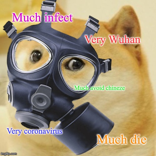 corona doge | Much infect; Very Wuhan; Much avoid chineze; Very coronavirus; Much die | image tagged in memes | made w/ Imgflip meme maker