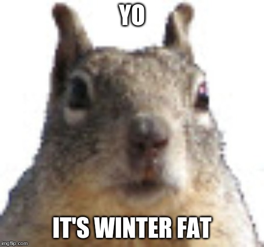 chuby | YO; IT'S WINTER FAT | image tagged in chuby | made w/ Imgflip meme maker
