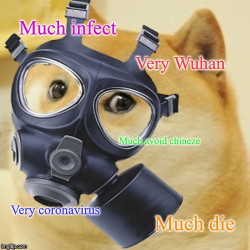 Wuhan Doge | Much infect; Very Wuhan; Much avoid chineze; Very coronavirus; Much die | image tagged in doge | made w/ Imgflip meme maker