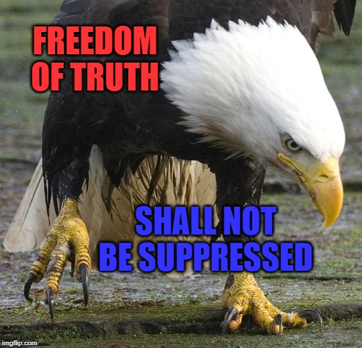 Freedom of Truth Shall Not Be Suppressed! | FREEDOM OF TRUTH; SHALL NOT BE SUPPRESSED | image tagged in freedom of the press,trump,election 2020 | made w/ Imgflip meme maker
