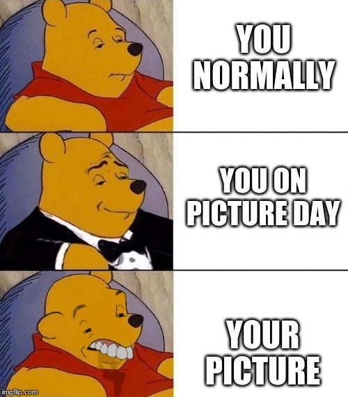 Best,Better, Blurst | YOU NORMALLY; YOU ON PICTURE DAY; YOUR PICTURE | image tagged in best better blurst | made w/ Imgflip meme maker