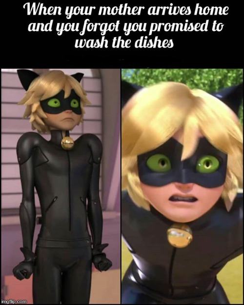 image tagged in cat noir | made w/ Imgflip meme maker