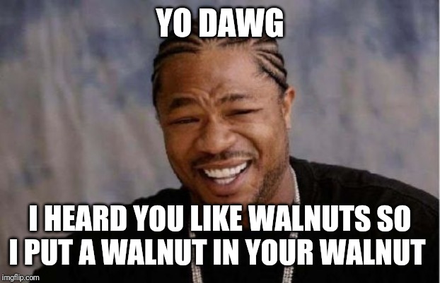 Yo Dawg Heard You Meme | YO DAWG; I HEARD YOU LIKE WALNUTS SO I PUT A WALNUT IN YOUR WALNUT | image tagged in memes,yo dawg heard you | made w/ Imgflip meme maker