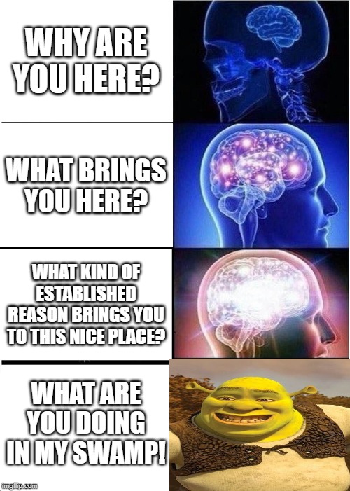 Expanding Brain Meme | WHY ARE YOU HERE? WHAT BRINGS YOU HERE? WHAT KIND OF ESTABLISHED REASON BRINGS YOU TO THIS NICE PLACE? WHAT ARE YOU DOING IN MY SWAMP! | image tagged in memes,expanding brain | made w/ Imgflip meme maker