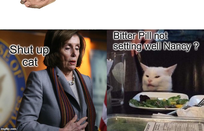 Bitter pill Nancy? | Bitter Pill not 
setting well Nancy ? Shut up 
    cat | image tagged in nancy pelosi,woman yelling at cat | made w/ Imgflip meme maker