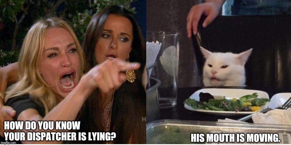 salad cat | HOW DO YOU KNOW YOUR DISPATCHER IS LYING? HIS MOUTH IS MOVING. | image tagged in salad cat,trucker,truck driver,driver | made w/ Imgflip meme maker