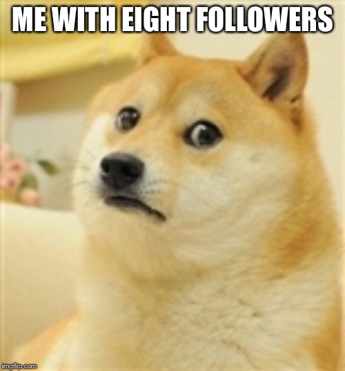 Sad Doge | ME WITH EIGHT FOLLOWERS | image tagged in sad doge | made w/ Imgflip meme maker