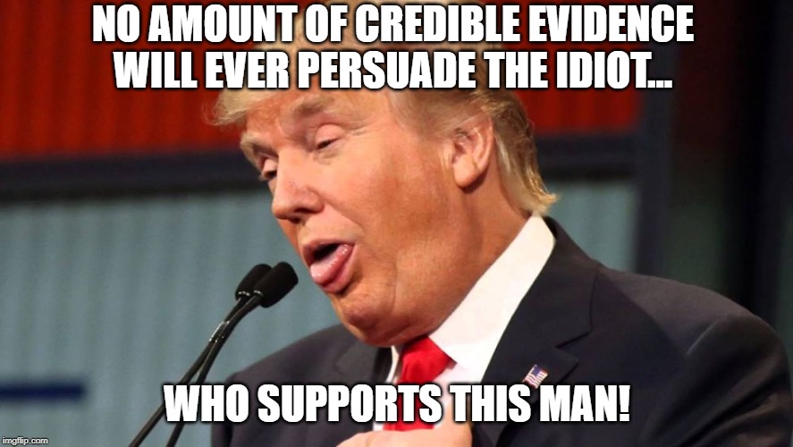 Stupid trump | NO AMOUNT OF CREDIBLE EVIDENCE WILL EVER PERSUADE THE IDIOT... WHO SUPPORTS THIS MAN! | image tagged in stupid trump | made w/ Imgflip meme maker