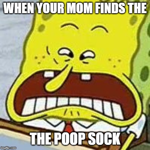 When mom finds pop socc | WHEN YOUR MOM FINDS THE; THE POOP SOCK | image tagged in poop sock,shitpost,bruh,cock and ball torture,uwu,eeeeeeeeeeeeeeeeee | made w/ Imgflip meme maker