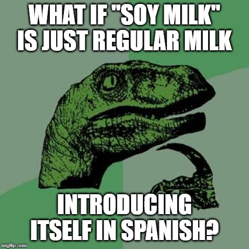 Philosoraptor Meme | WHAT IF "SOY MILK" IS JUST REGULAR MILK; INTRODUCING ITSELF IN SPANISH? | image tagged in memes,philosoraptor | made w/ Imgflip meme maker