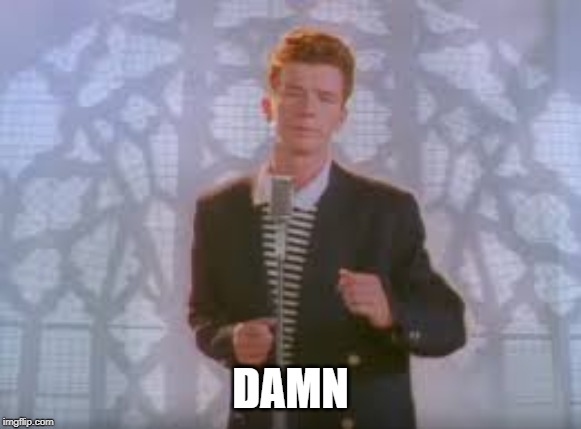 Rick rolled | DAMN | image tagged in rick rolled | made w/ Imgflip meme maker