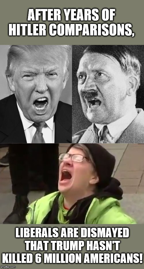 disappointment all around | AFTER YEARS OF HITLER COMPARISONS, LIBERALS ARE DISMAYED THAT TRUMP HASN'T KILLED 6 MILLION AMERICANS! | image tagged in screaming liberal,trump hitler you have no choice | made w/ Imgflip meme maker