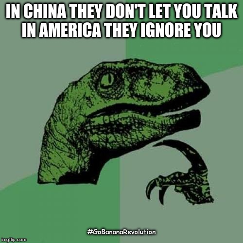 Philosoraptor | IN CHINA THEY DON'T LET YOU TALK
IN AMERICA THEY IGNORE YOU; #GoBananaRevolution | image tagged in memes,philosoraptor | made w/ Imgflip meme maker