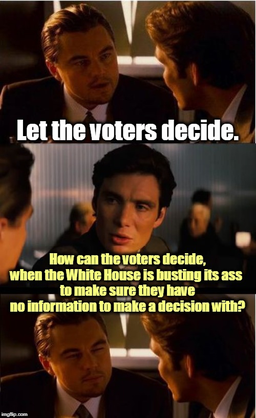 Innocent men don't work this hard to hide what they did. | Let the voters decide. How can the voters decide, when the White House is busting its ass 
to make sure they have no information to make a decision with? | image tagged in memes,inception,trump,voters,obstruction of justice,liars | made w/ Imgflip meme maker