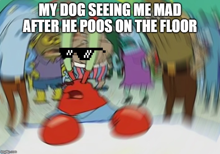 Mr Krabs Blur Meme Meme | MY DOG SEEING ME MAD AFTER HE POOS ON THE FLOOR | image tagged in memes,mr krabs blur meme | made w/ Imgflip meme maker